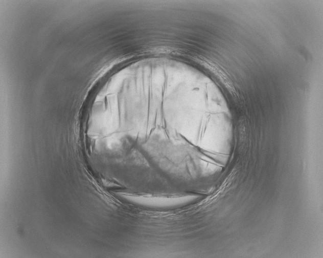 X0000116141023200912211444