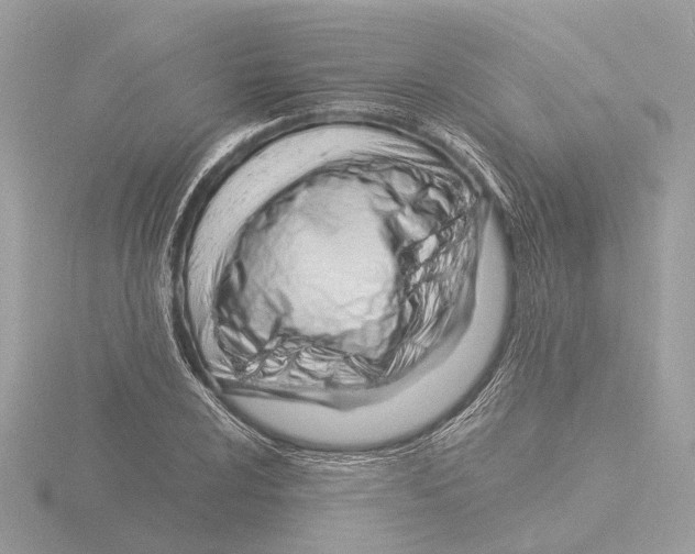 X0000116141024200912211444