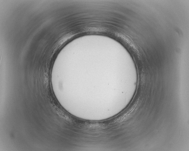 X0000116141025200912211444