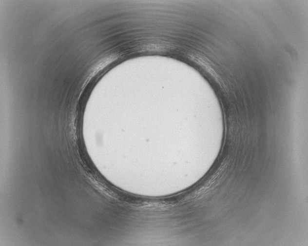 X0000116141026200912211444