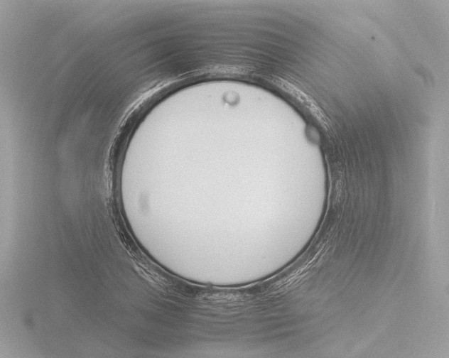 X0000116141027200912211444