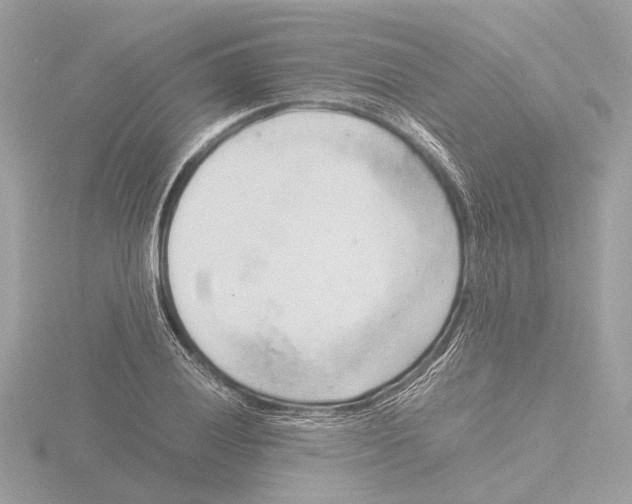 X0000116141028200912211444