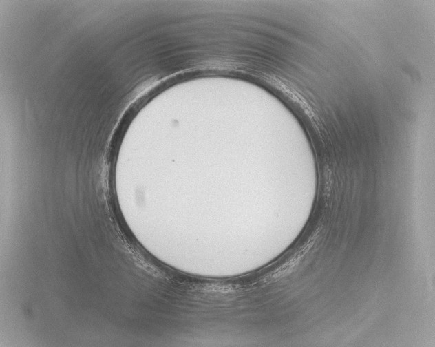 X0000116141029200912211444