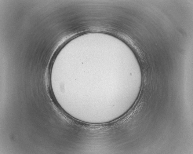 X0000116141032200912211444