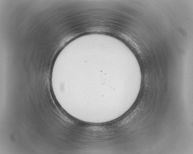 X0000116141033200912211444