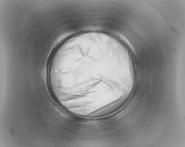 X0000116141035200912211444