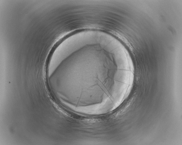 X0000116141037200912211444