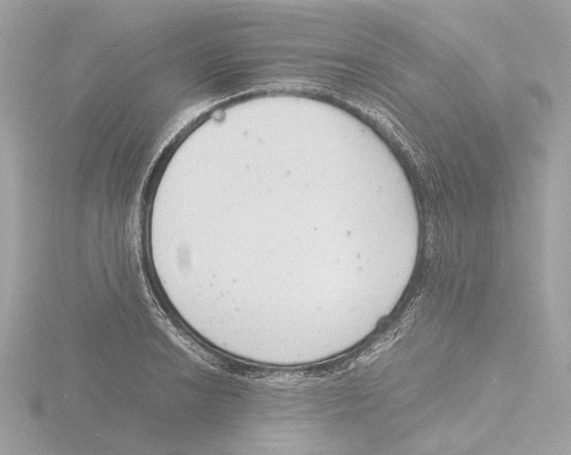 X0000116141038200912211444