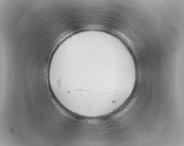 X0000116141041200912211444