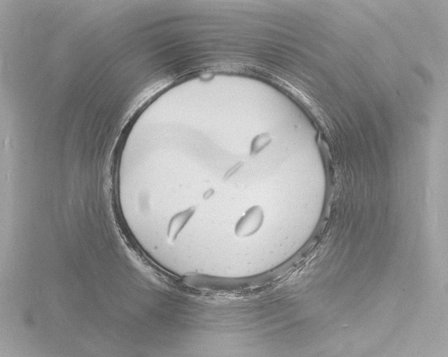 X0000116141042200912211444