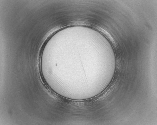 X0000116141043200912211444