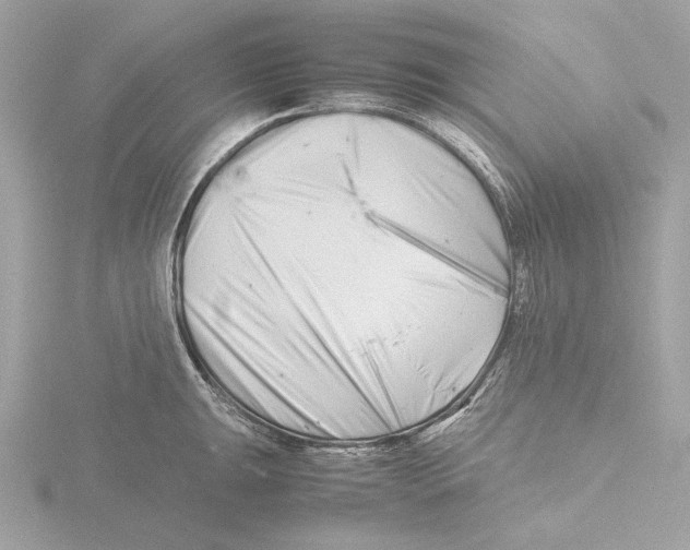 X0000116141047200912211444