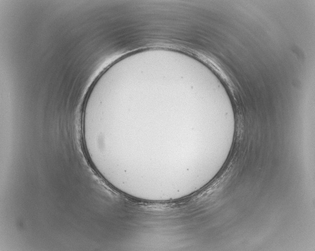 X0000116141048200912211444