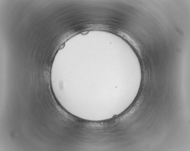 X0000116141049200912211444