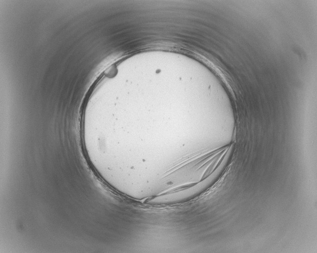 X0000116141050200912211444