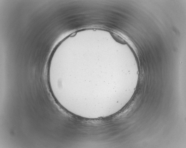 X0000116141053200912211445