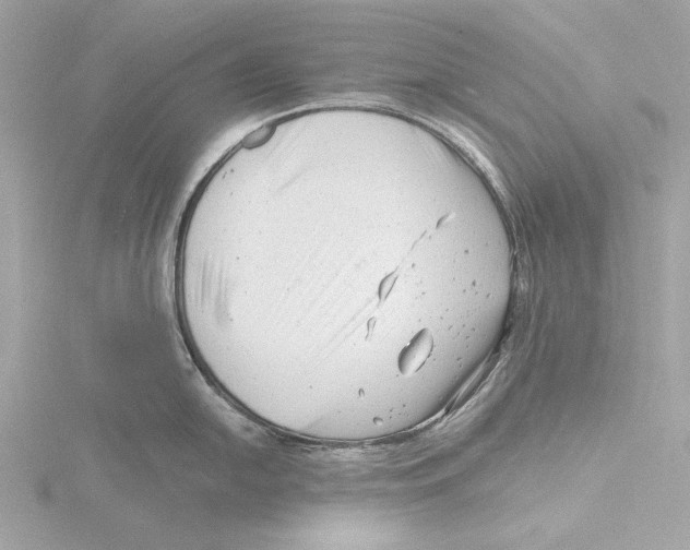 X0000116141054200912211445