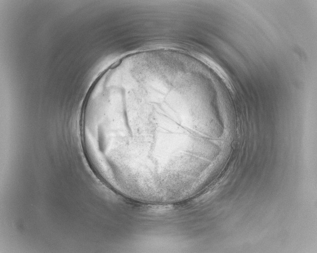 X0000116141055200912211445