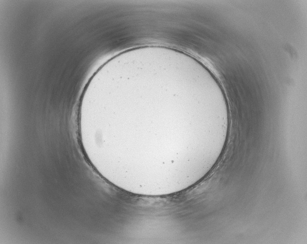 X0000116141056200912211445