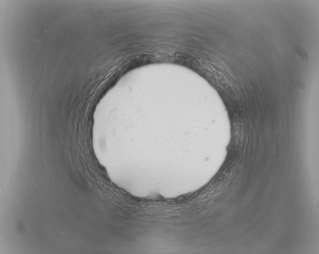 X0000116141057200912211444