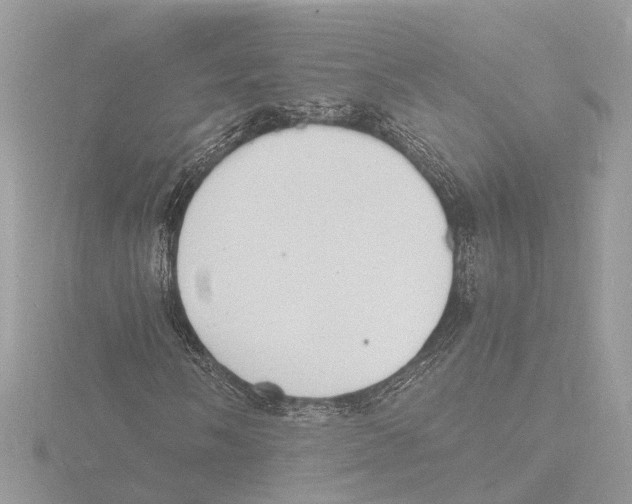 X0000116141058200912211444