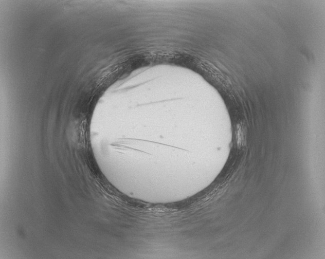 X0000116141059200912211444