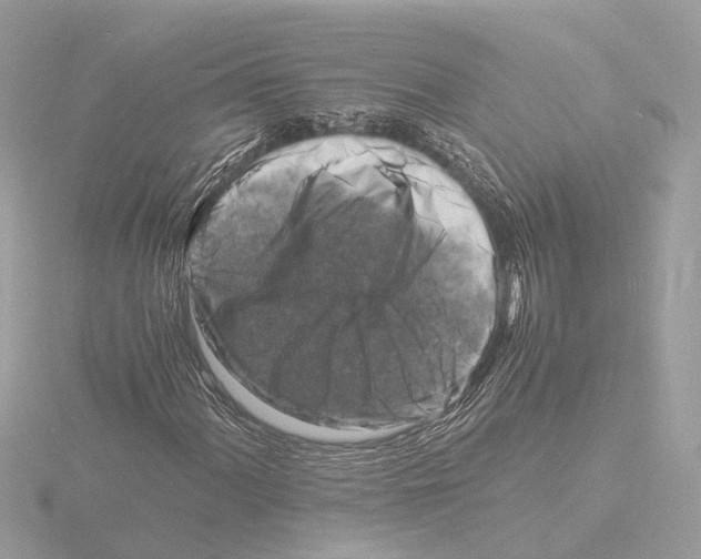 X0000116141060200912211444