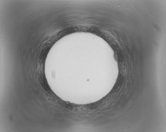 X0000116141061200912211444