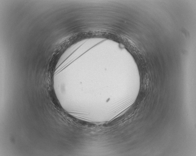 X0000116141062200912211444