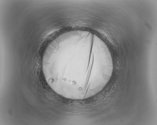 X0000116141063200912211444