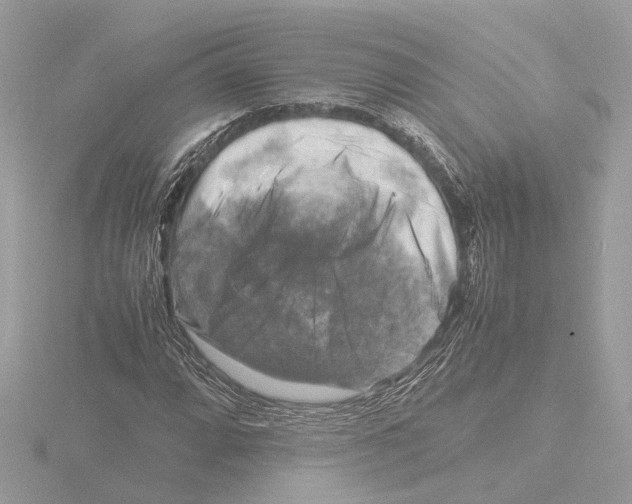 X0000116141064200912211444