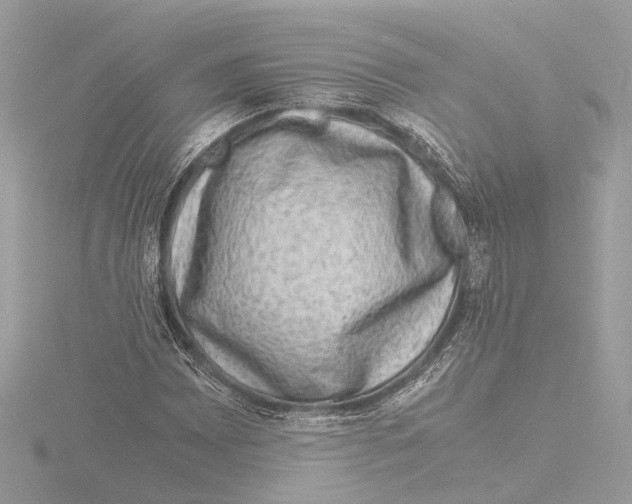 X0000116141065200912211444