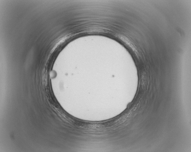 X0000116141067200912211444