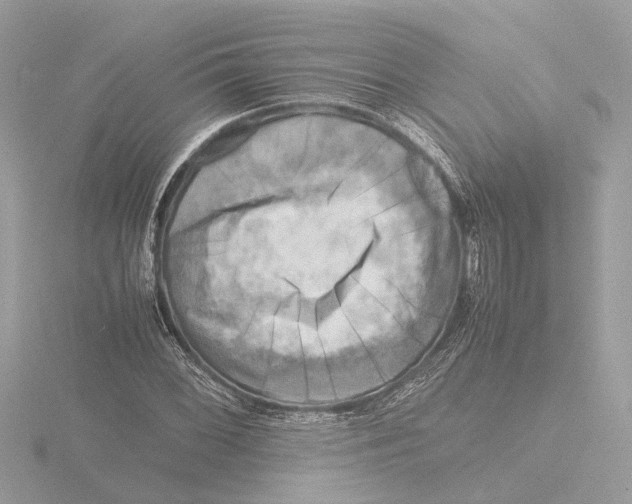 X0000116141068200912211444