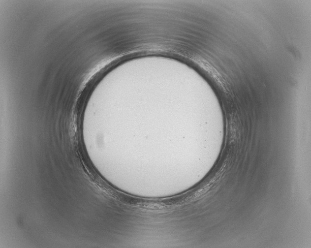 X0000116141070200912211444