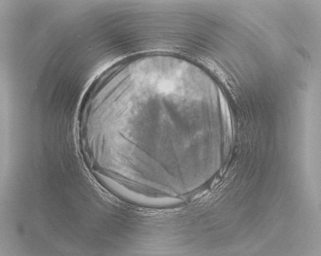 X0000116141072200912211444