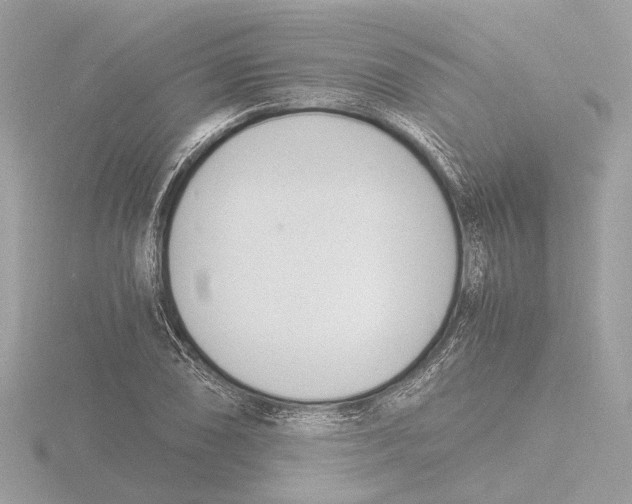 X0000116141074200912211444