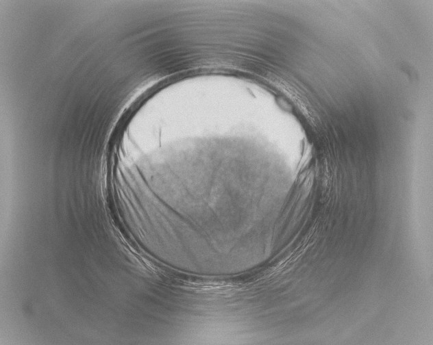 X0000116141076200912211444