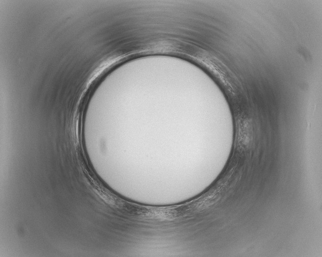 X0000116141078200912211444