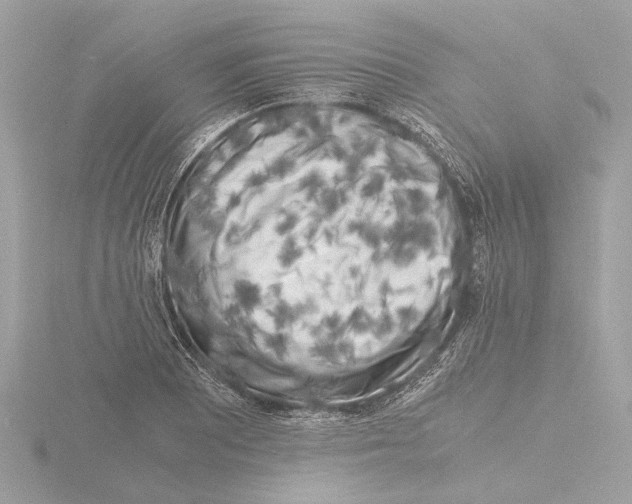 X0000116141081200912211444