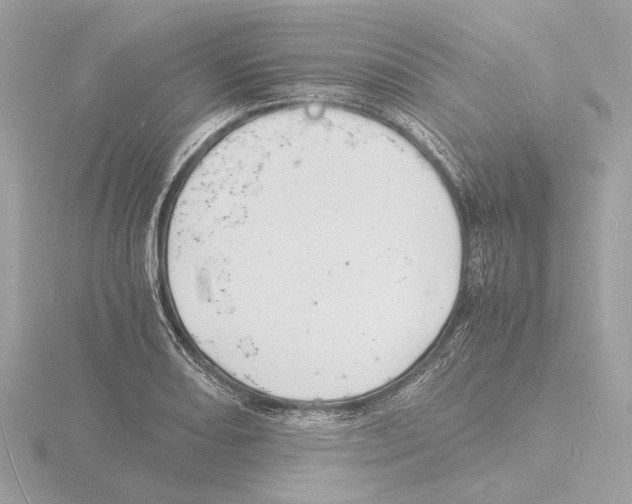 X0000116141082200912211444