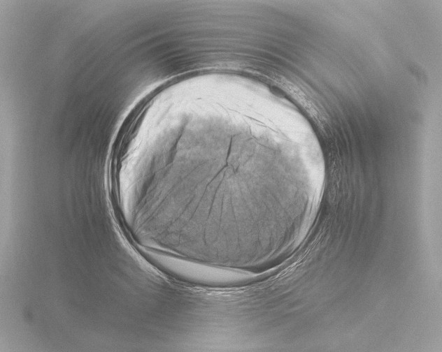 X0000116141084200912211444