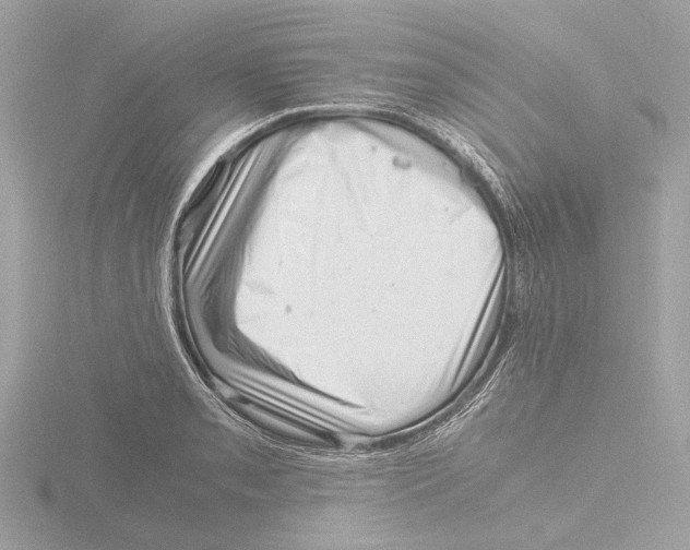 X0000116141085200912211444