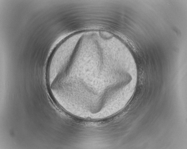 X0000116141086200912211444