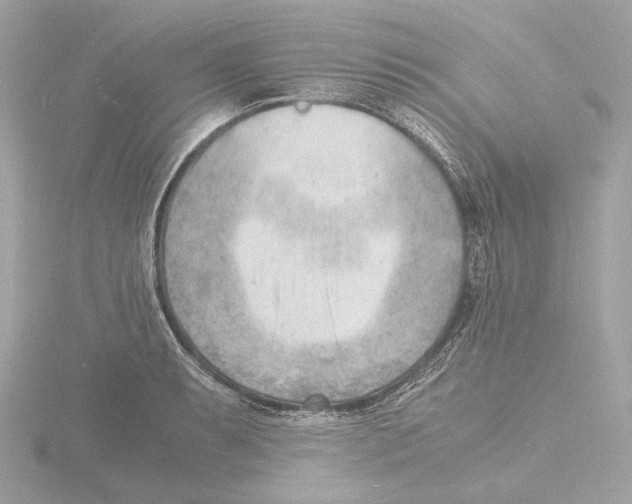 X0000116141087200912211444