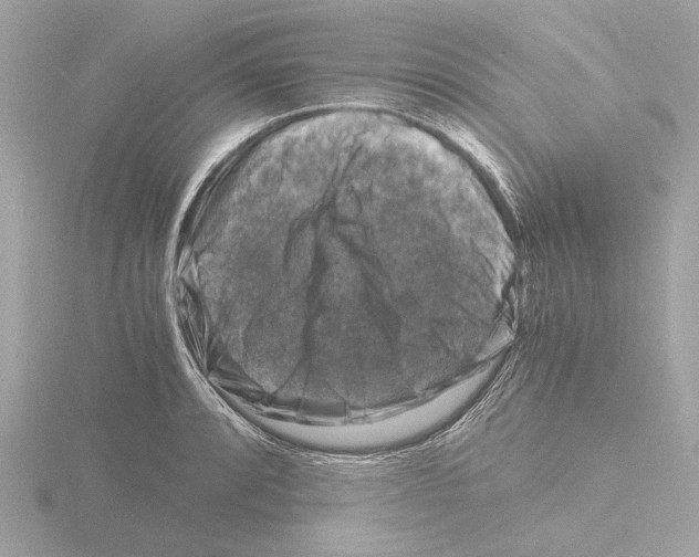 X0000116141088200912211444