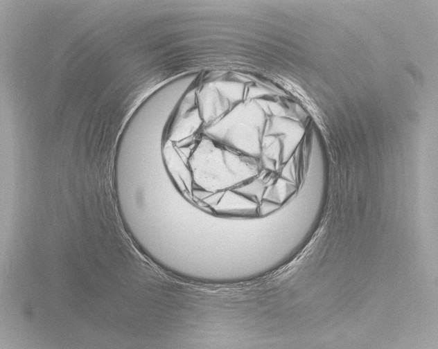 X0000116141089200912211444