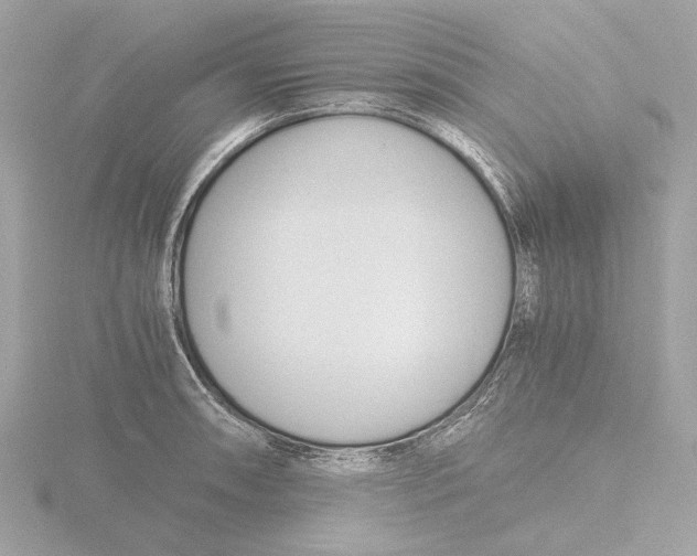 X0000116141090200912211444