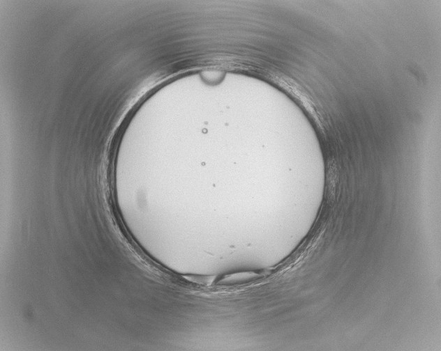 X0000116141091200912211444