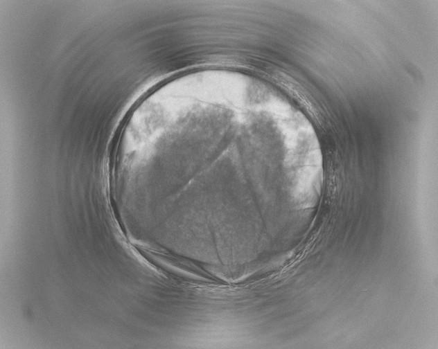 X0000116141092200912211443